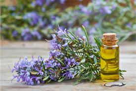 Rosemary Tallow Extract for Healthy Skin & Hair
